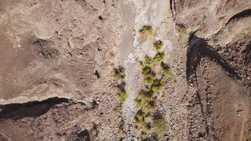 Group of friends enjoy a day of swimming at a natural freshwater pool in the middle of a dry arid wadi valley; high overhead view.