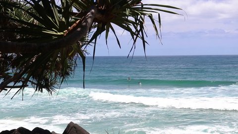 Slow Motion Lapse Looking Through Lush Pandanus Leaves At Surfers In Turquoise Ocean Water On A Sunny Day