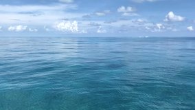 Boat cruises across horizon in the Florida Keys over calm turquoise tropical waters. John Pennekamp Coral Reef State Park in Key Largo, FL. Snorkeling and diving boat over reef. United States travel.