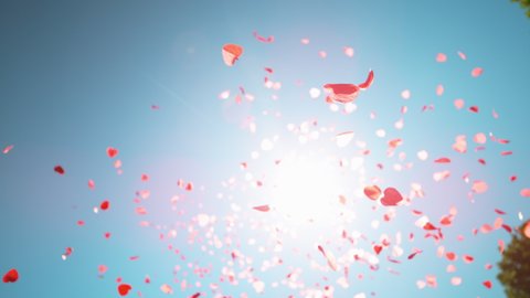SLOW MOTION, CLOSE UP, BOTTOM UP, LENS FLARE, DOF Heart shaped confetti fall from the clear blue sky during a baby gender reveal party. Pink and red pieces of paper in shape of hearts fall from heaven
