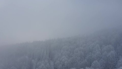 Aerial-Pulling back from frosty aspen trees obscured in a foggy cloud bank-10 bit-DLog-M Ungraded