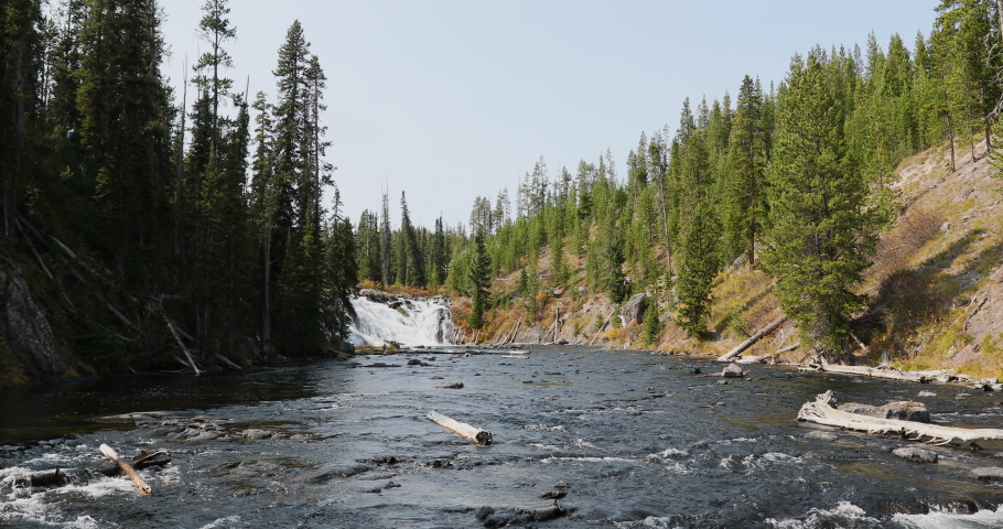Lewis Falls Yellowstone National Park forest river 4K. Yellowstone in Wyoming, Montana and Idaho, USA. Geothermal geological environment ecosystem landscape. Biology geography and ecology.