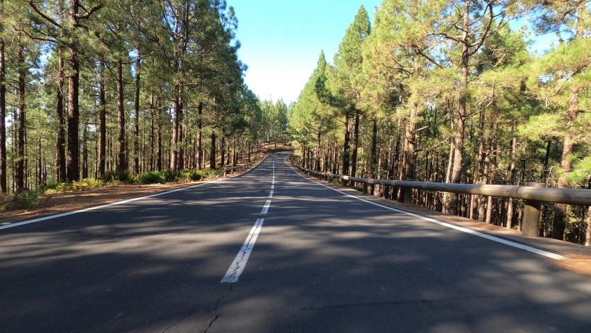 Road in Teide National Park, Tenerife, Canary Islands, Spain