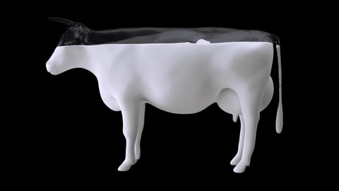 Side view of a glass cow partially filled with milk that fluctuates within it on a black background