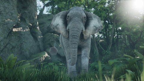 A gray African elephant walks through the green jungle in the early morning. Animation for animals, nature and educational backgrounds. A look at the African jungle.