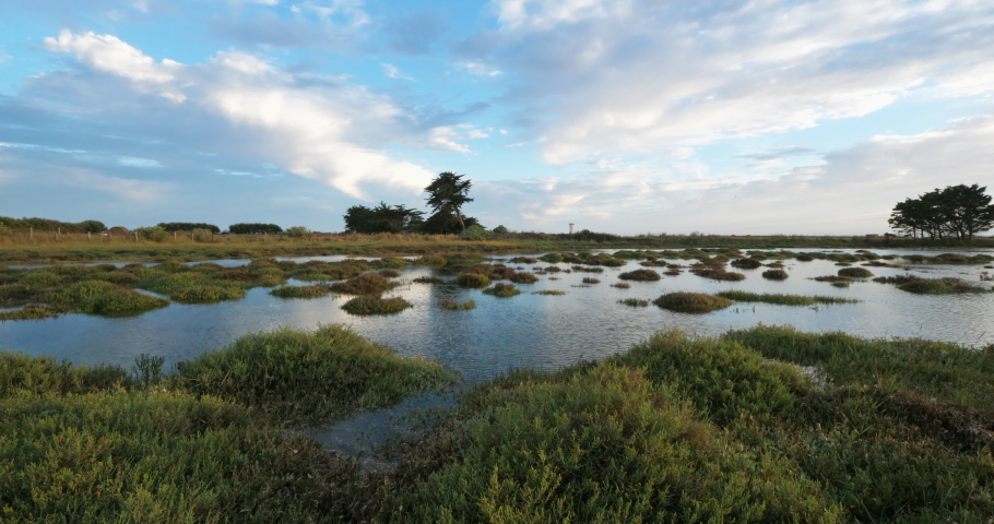 Wild landscape near Penerf, Morbihan department, Brittany, France