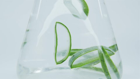 Aloe vera. Close-up of sliced aloe vera drops into water in laboratory flask. Thick transparent extract. Production of anti-aging cosmetics based on aloe plants.