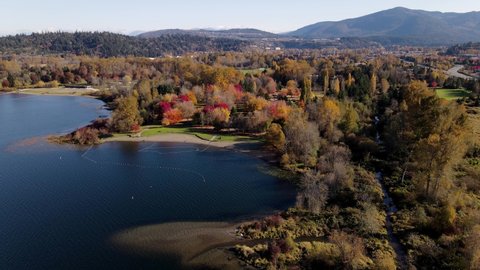 Drone/Aerial footage of Coastal Trees in Fall Colors near Issaquah, Lake Sammamish State Park, Tiger Mountain, Bellevue, the I-90 highway in King County, Washington, US