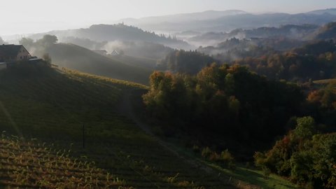 aerial photography drone shot flying over a vineyard landscape in the early morning light with shafts of sunlight backlighting and grainy fog in Austria Südsteirische Weinstrasse