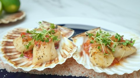 Close-up of Seared Scallops in a seashell with sauce and decorative fresh cress. Concept of freshly made healthy seafood nicely decorated and arranged by a chef in 4K.