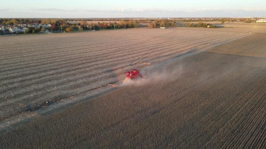 Harvesting corn in autumn. Aerial top view. Aerial drone shot of corn harvest. Harvester machine working in a field at sunset
