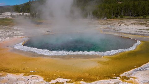 Algae-bacterial mats. Hot thermal spring, hot pool in the Yellowstone National park. Wyoming, USA