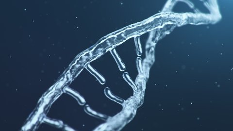 Abstract animated construction of DNA molecule from water particles. Concept animation of digital DNA, human genome. Medical research, genetic engineering. Futuristic 4k animation of DNA molecule