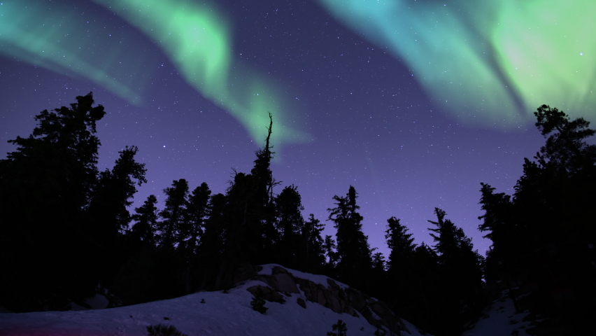 Aurora Green in Purple Starry Sky Winter Forest 02 Loop | Shutterstock HD Video #1062569536
