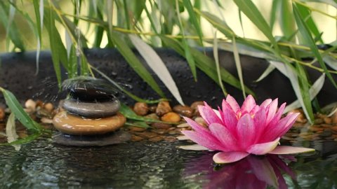 Water falling down on balanced stones, pink lotus lily flower and willow leaves