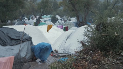 Refugee tents within olive grove Moria Camp