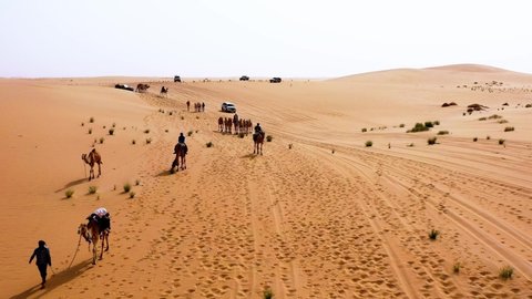 Arabian desert / Saudi Arabia - 11 13 2020: Drone shot over a cavalcade of camels, cars and people, group of Arabs riding on the Arabian desert, in Saudi Arabia - dolly, aerial view	