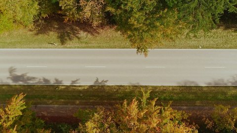 Aerial autumn street view - top shot drone footage zooming out at a straight road, leading through a forest framed by fall colored trees at a sunny day. Cars passing by the country road.