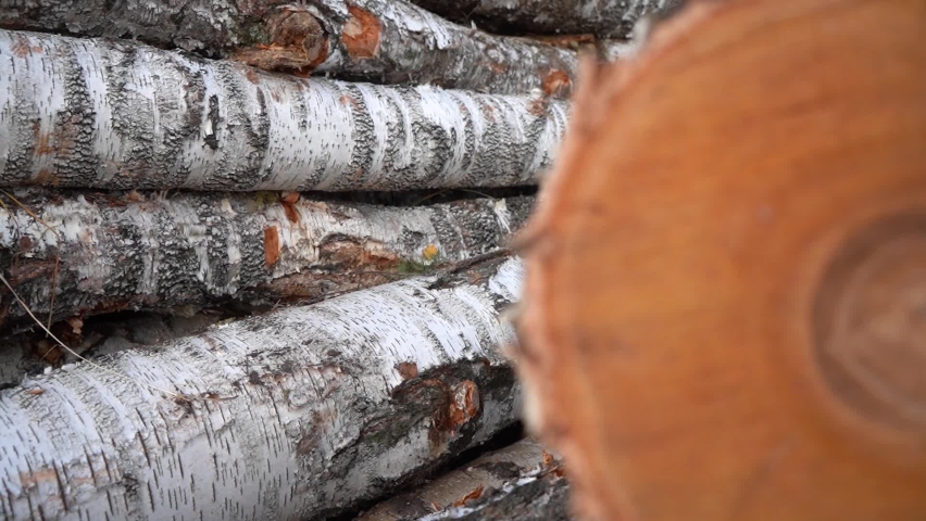 Birch logs lie on the ground near the forest. Birch logs are not sawn. Close-up. Royalty-Free Stock Footage #1062595885