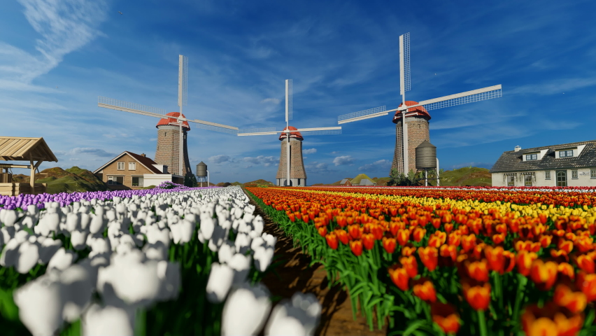 Old windmill and colorful tulips on a Dutch village Royalty-Free Stock Footage #1062603733