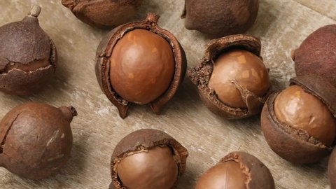 Whole Australian shelled and unshelled macadamia nuts in a row close up