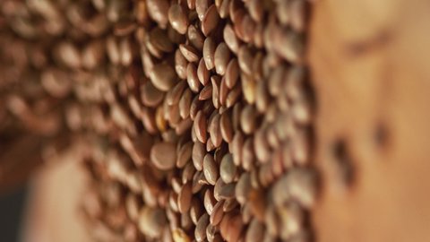 Very Close-up, 900 fps video.In a beautiful light, Green lentil grains fall into the wooden plate in slow motion.Macro,Phantom Camera.Video for the vertical story.