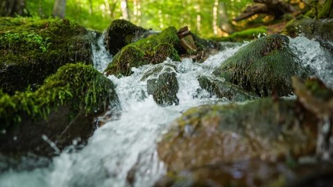 Purest mountain river in the forest. Stream of water moves between the stones covered with moss. HDR slow motion gimbal shot. Nature background series