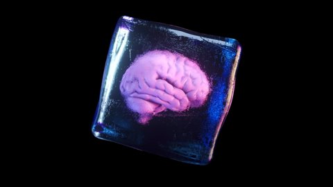 A frozen human brain inside a spinning ice cube. Seamless loop 3d render.