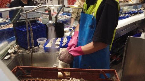 SYDNEY, AUSTRALIA - OCT 17 2020: man worker seller wear gloves, open fresh sea local oyster shell with knife and wash  for customer in famous Sydney Fish Market