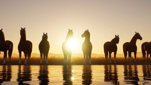 The silhouette of a herd of wild horses standing at a river's edge on a hazy summer's evening.
