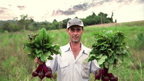 Farmer happy to have a good harvest. Family farming. Beet.