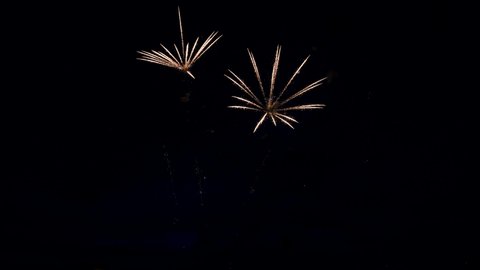Japanese Fireworks   Pyrotechnics, Black Footage, Palmtree Figures Effect, Real Film, No CGI
