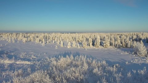 Flight to the forest tundra in winter in the North of Western Siberia