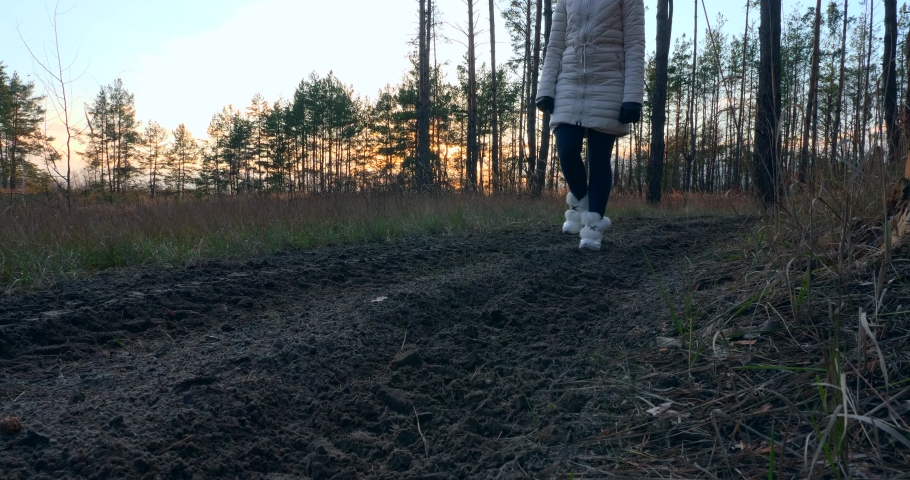 Woman Walking Hiking. Close up Female Footsteps Footwear Footprints on Dirt Road. Morning Evening Sunshine. Autumn Season in Wood Forest 4K