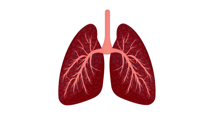 253 Cartoon Human Lungs Stock Video Footage - 4K and HD Video Clips |  Shutterstock