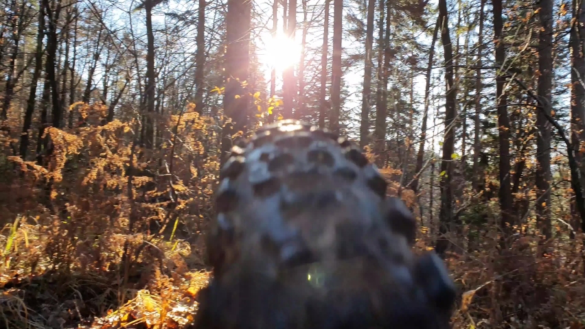 A POV shot from a mountain bike tire roling down a forest road in autumn. 60FPS