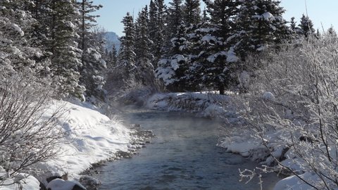 Beautiful tranquil creek in the forest on winter sunny day morning. Mist floating on river surface. Clear blue sky, snow covered pine trees on river bank. Beautiful natural landscape.