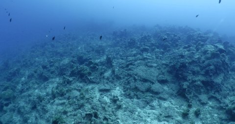 ship wreck scenery underwater shipwreck metal on the ocean floor with fish school around