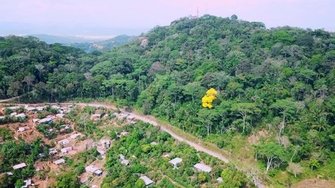 Aerial View of Green Rainforest, Yellow Guayacan Tree and Communication Tower on Hilltop, Revealing View of Panama City and Canal in Misty Background, Drone Shot