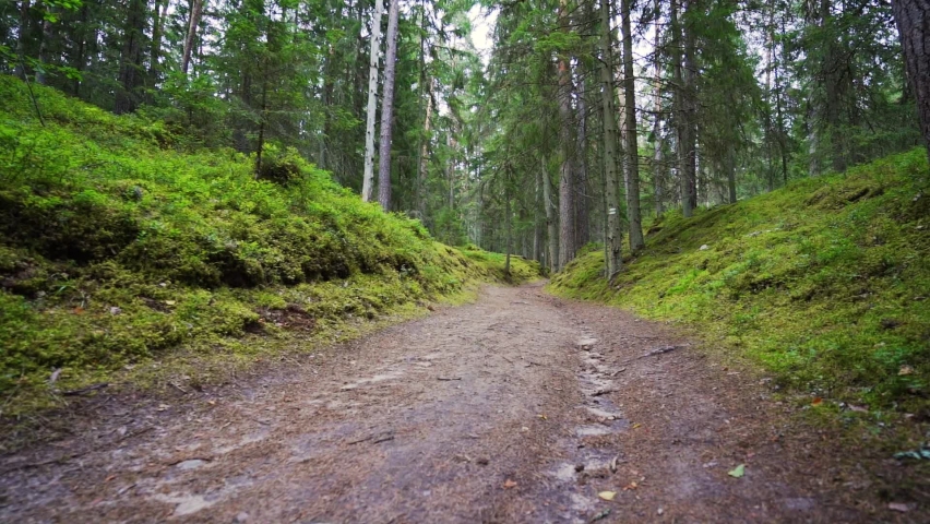 POV. Walking through forest, steadicam shot. Slow motion footgae.