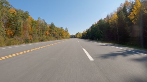 POV Driving a car on asphalt road with color trees in autumn