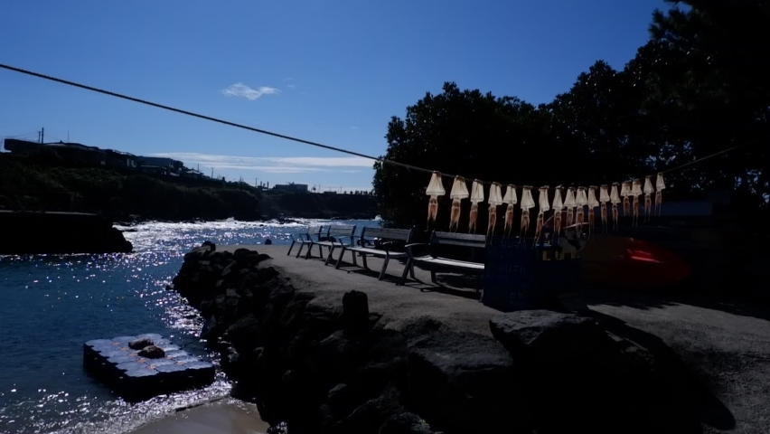 Seafood Dried in the Sun in Jeju, Korea. Harvesting and Preservation of Squid. Small Tide Waves. Ocean waves in the Sea Shore. Landscape View of Beaches sea in Fall