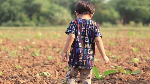 Indian cute baby boy walking in farm