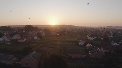Aerial drone descent over old village at sunrise. Swallows birds fly in large swarms. Aerial camera bird eye view. Unsurpassed view of the sun which illuminates the whole landscape.
