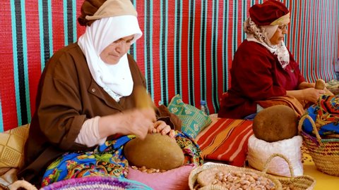 Morocco, Marrakech, women working to extract argan oil