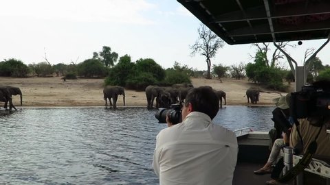 Kasane , Chobe / Botswana - 11 03 2016: Photo safari guests photograph elephants from specialized tour boat
