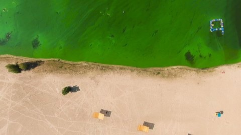 aerial top down of empty sandy beach borders green water polluted with algae. environmental problems, ecology and nature