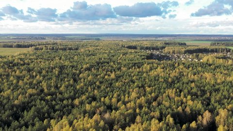 Aerial top down view of forest in the autumn. Drone shot flying over tree tops, Nature background in 4K resolution