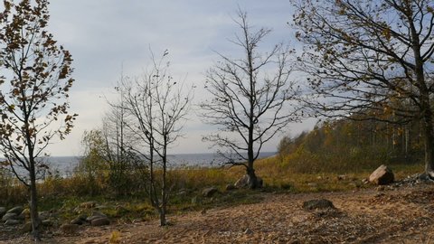 view of the shore of the lake, autumn landscape