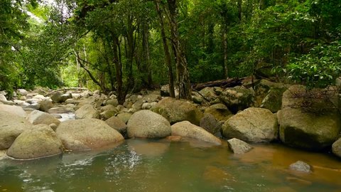 Mountain river flowing in rainforest. Endless meditative video, stream in tropical exotic jungle forest. Creek flow in deep woods among stones. Cascades of waterfall, greenery and trees. Seamless loop